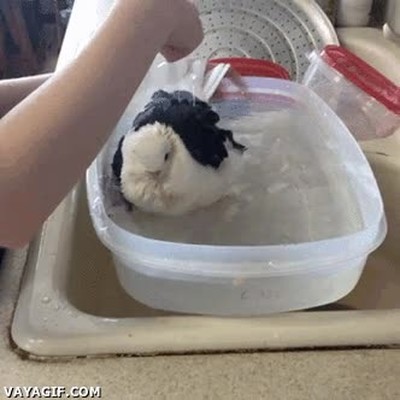 nada,buen,ba&ntilde;o,olvidar,problemas