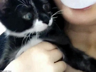 gato,flipar,primera,vez,chicle,vida