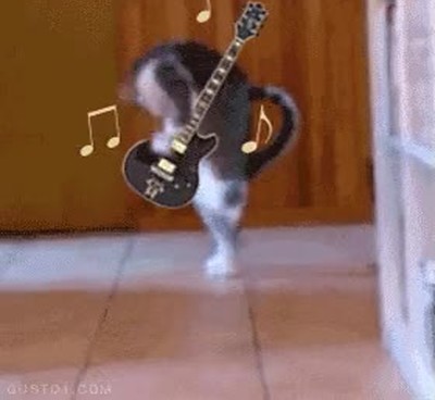 gato,guitarrista,otra vida,solo