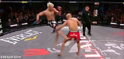 combate,pelea,salto,zasca