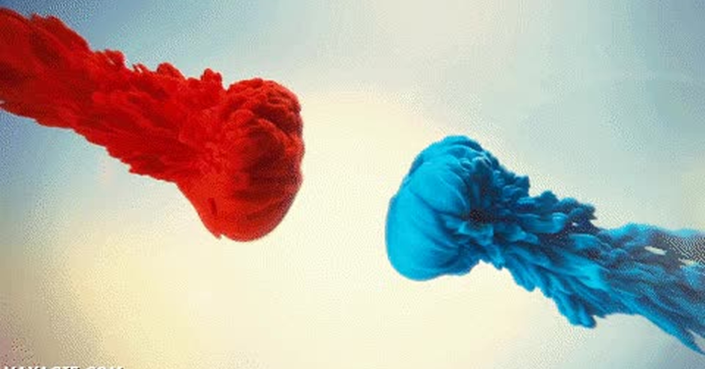 ¡Vaya GIF! / Lo que realmente pasa cuando mezclas dos colores