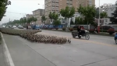 excursiones,escuela,peque&ntilde;o