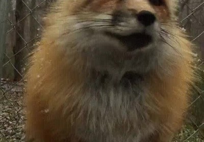 empezar,nevar,mirar,horizonte,sentido,vida