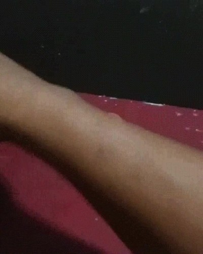 p&aacute;jaro,listo,personas