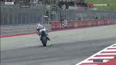 loris,baz,salvar,ca&iacute;da,segura