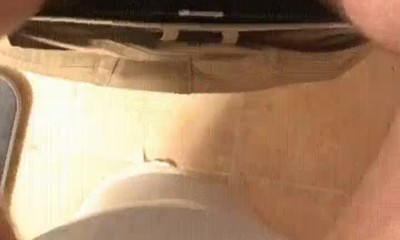 perro,jugar,minuto,descanso