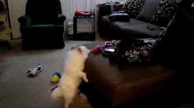 lecci&oacute;n,vida,intentar,conseguir