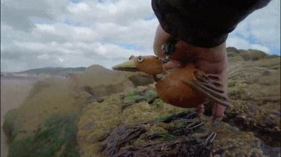 crear,corto,animaci&oacute;n,imaginaci&oacute;n