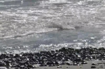 madre,mirar,fotos,movil