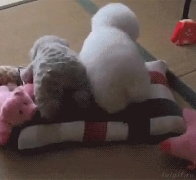 llegar,casa,largo,duro,cansado,trabajo