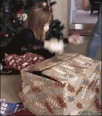 donde,regalo,caja,abrir,gato