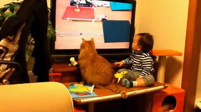 gato,bebe,enganchados,televisi&oacute;n