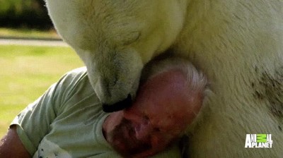Enlace a Te presentamos a bolita de nieve y a su padre humano