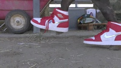 caballo,zapatillas,swaggers