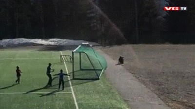 partidos,futbol,parecer,partido,inazuma eleven