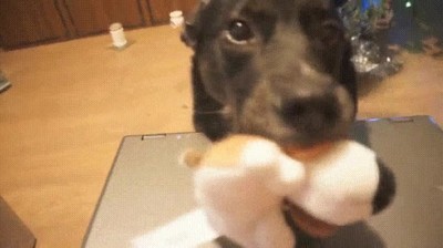 dejar,internet,jugar,conmigo