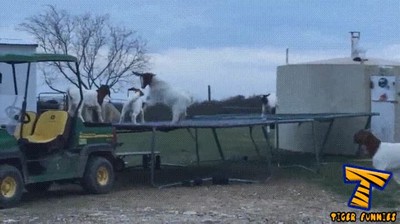 fondo,ni&ntilde;os,peque&ntilde;os,trampolin