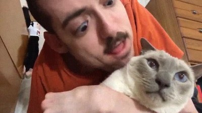 gato,lamer,lo que se siente