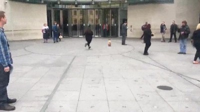 Enlace a Perro en patinete intentándose colar en el edificio de la BBC