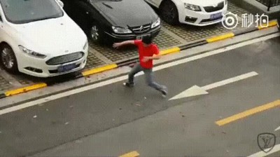 limpiar,suelo,hojas,conocimientos,artes marciales