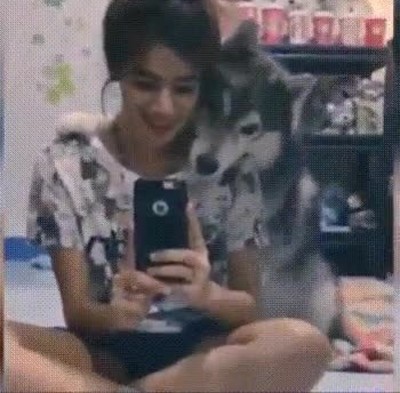 sacarse,selfies,compa&ntilde;&iacute;a. mejor,amigo,perro