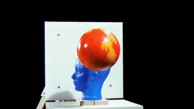 unico,cabeza,comer,plato,spaguettis