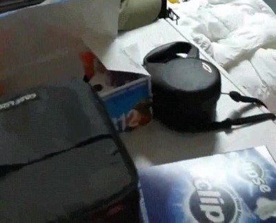 reaccion,oso,comida,manos,masa