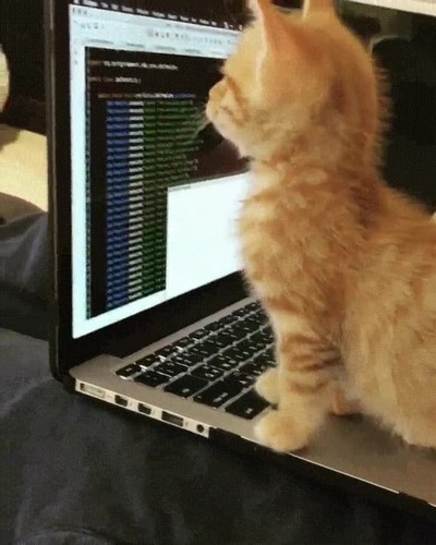 primer,dia,llegar,oficina,despu&eacute;s,vacaciones