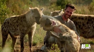 grupo,hienas,demostrar,amigos,humanos