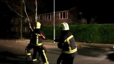 perro,intentar,ayudar,bombero