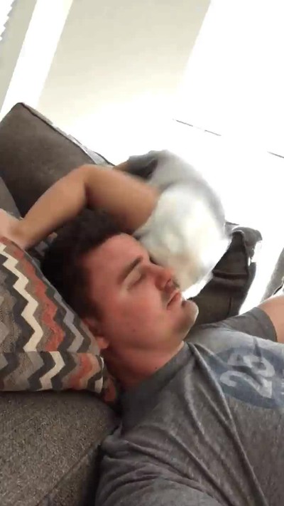 padre,facil,pañales,cara
