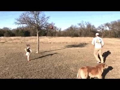 hijo,importante,ense&ntilde;ar