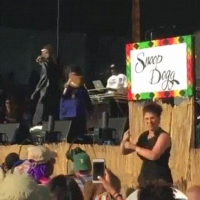 interprete,concierto,snoop dog,signos