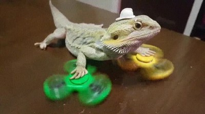 crear,superar,spinners,girar