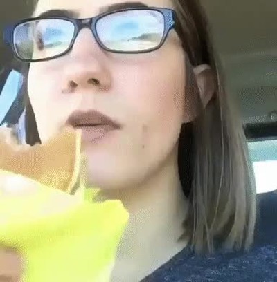 perros,respeto,comida,amos