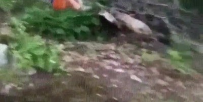 lograr,salto,agia,punter&iacute;a,perfecta