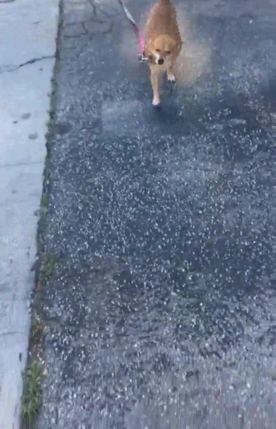 mejor,sensaci&oacute;n volver,casa,paseo