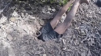 bichos,monstruosos,encontrar,australia