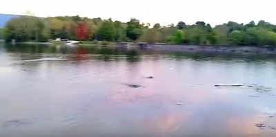 roca,lanzar,rebotar,agua