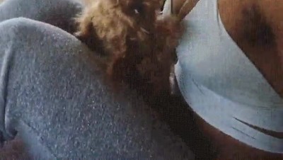 Enlace a Esto es demostrar amor por tu cachorro y lo demás son tonterías