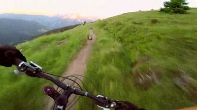 Enlace a Persecución trepidante a una marmota en bicicleta 