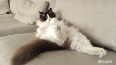 apagar,trasto,ventilador,dormir