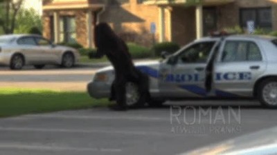 hombre,disfraz,perro,coche,policia