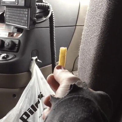 truco,descubrir,perro,dormir,comida