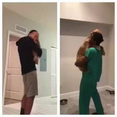 perro,algunas cosas,cambiar
