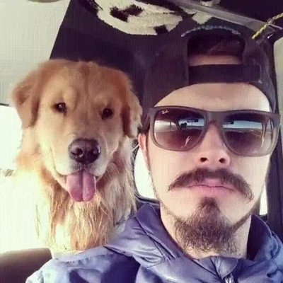 perro,imitar,amo,perfecci&oacute;n