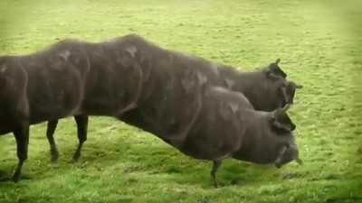 extra&ntilde;o,ver,todo el d&iacute;a