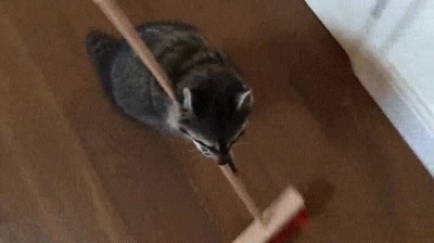 primero,quitar,comida,trabajo