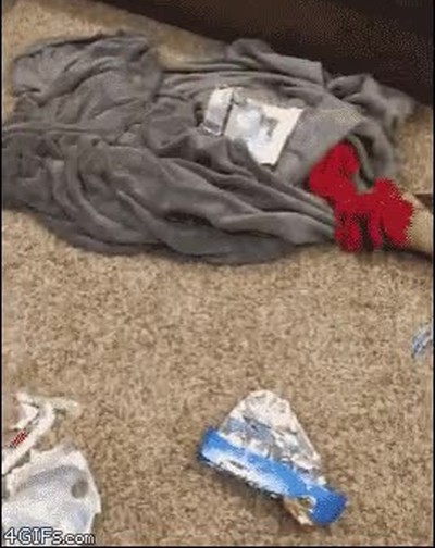 tener,ni idea,comer,galletas