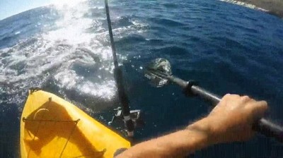 cosas,terror&iacute;ficas,pasar,navegar,tiburones